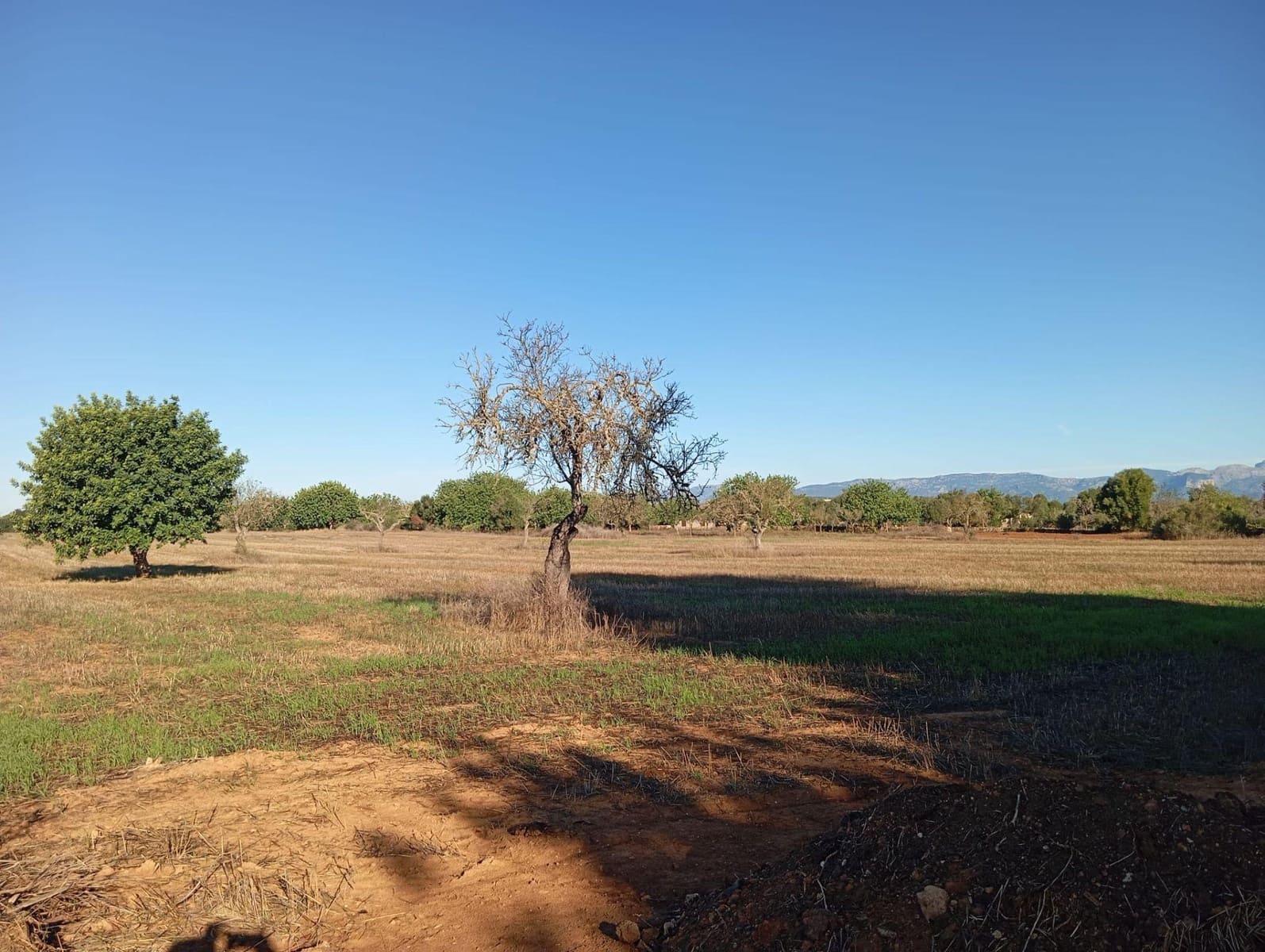 3 soveværelse Finca/Landehus til salg i Algaida - € 550.000 (Ref: 9812285)