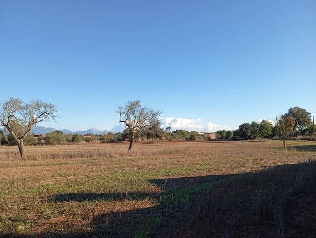 3 soveværelse Finca/Landehus til salg i Algaida - € 550.000 (Ref: 9812285)