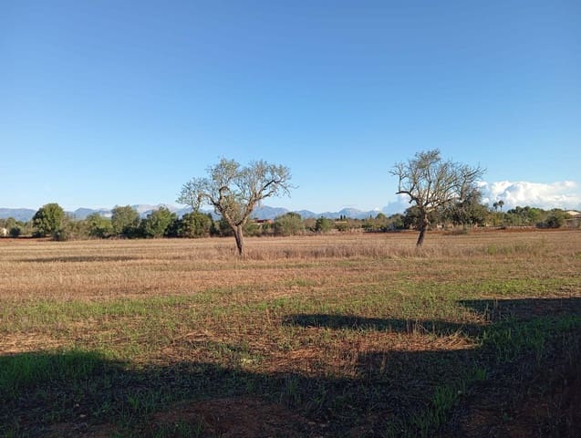 3 soveværelse Finca/Landehus til salg i Algaida - € 550.000 (Ref: 9812285)