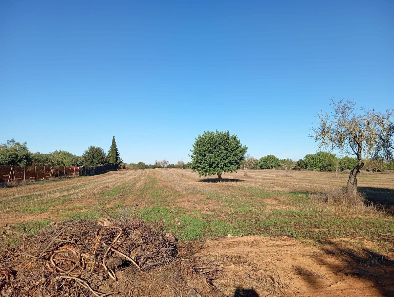3 soveværelse Finca/Landehus til salg i Algaida - € 550.000 (Ref: 9812285)