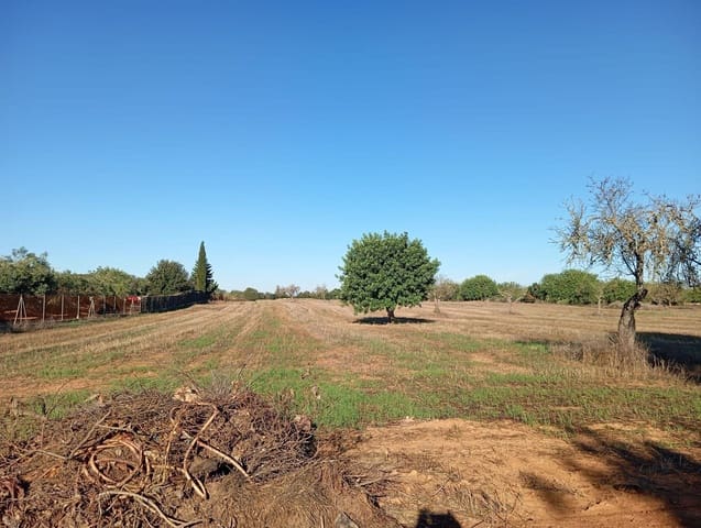 3 soveværelse Finca/Landehus til salg i Algaida - € 550.000 (Ref: 9812285)