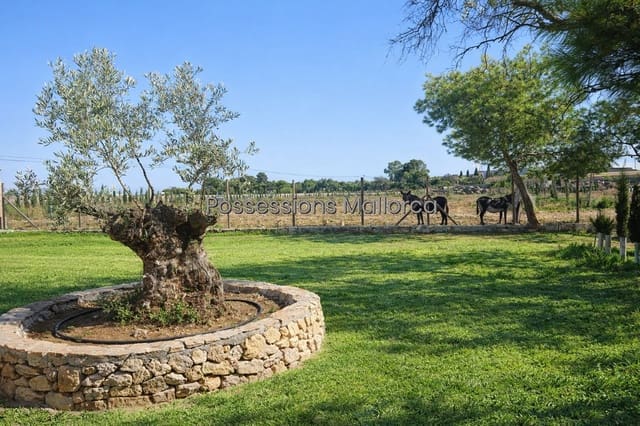 14 sypialnia Finka/Dom wiejski na sprzedaż w Son Ferriol, Palma de Mallorca z garażem - 9 000 000 € (Ref: 9818400)