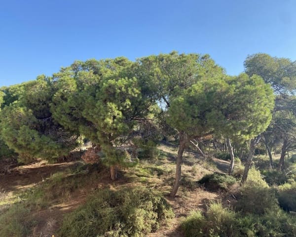 2 slaapkamer Appartement te koop in Zona Pueblo, Guardamar del Segura - € 318.240 (Ref: 10168920)