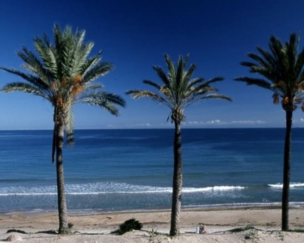 2 slaapkamer Appartement te koop in Torre de la Horadada, Pilar de la Horadada met zwembad - € 255.000 (Ref: 8849969)