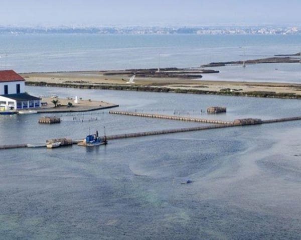 3 Zimmer Villa zu verkaufen in San Pedro del Pinatar ciudad, San Pedro del Pinatar mit Pool - 499.950 € (Ref: 9269230)