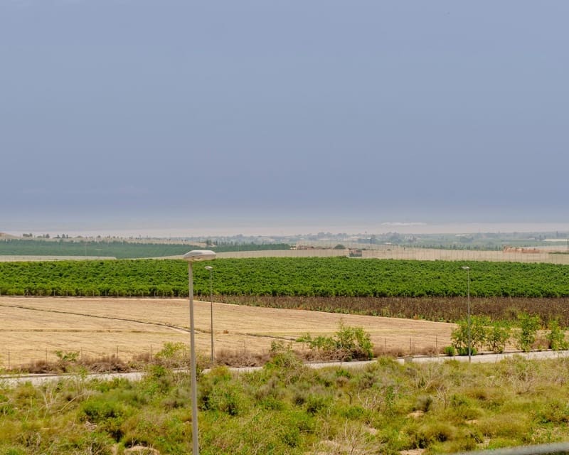 Chalet de 3 habitaciones en San Miguel de Salinas en venta con piscina garaje - 375.000 € (Ref: 9650804)