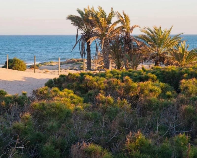 2 camera da letto Appartamento in vendita in Guardamar del Segura con piscina - 245.000 € (Rif: 9784418)