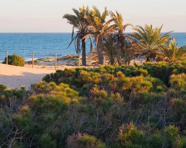 2 camera da letto Appartamento in vendita in Puerto Deportivo, Guardamar del Segura con piscina - 245.000 € (Rif: 9784418)