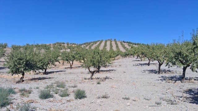Finca/Landhuis te koop in Oria met garage - € 79.900 (Ref: 10006858)