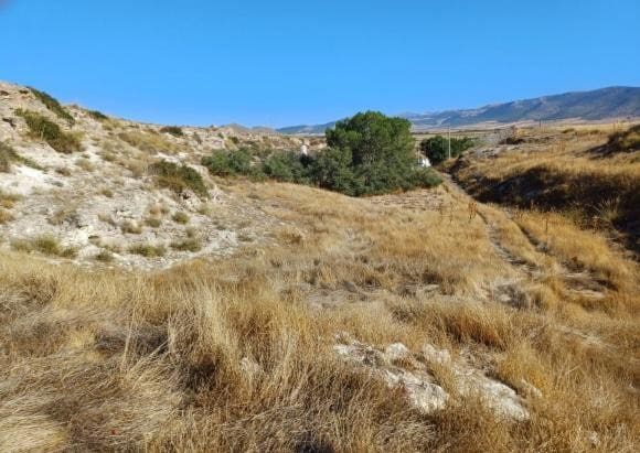 Cave House for sale in La Alqueria - € 33,000 (Ref: 10130136)