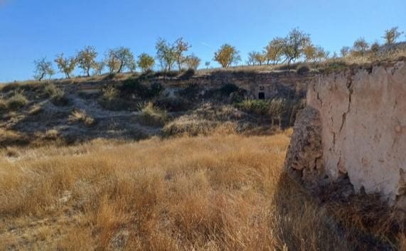 Cave House for sale in La Alqueria - € 33,000 (Ref: 10130136)