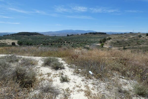 3 soveværelse Hulehus til salg i Cuevas del Campo - € 25.000 (Ref: 1457746)