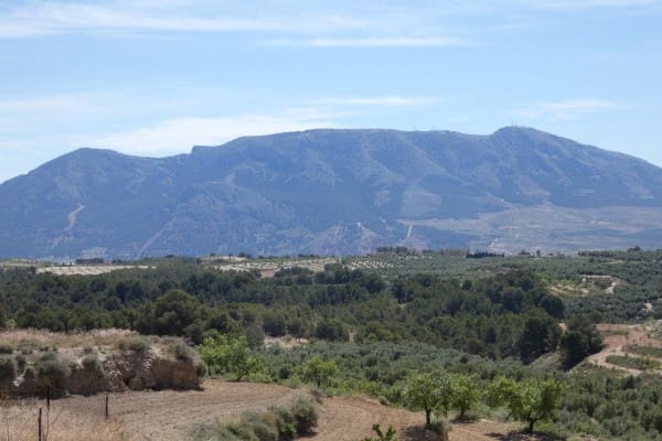 3 soveværelse Hulehus til salg i Cuevas del Campo - € 25.000 (Ref: 1457746)