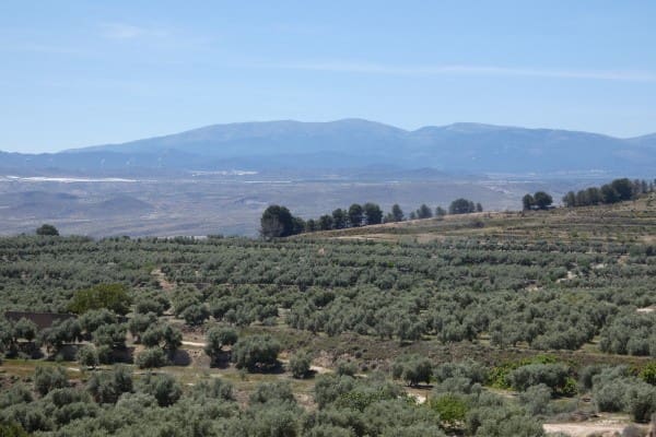 3 soveværelse Hulehus til salg i Cuevas del Campo - € 25.000 (Ref: 1457746)