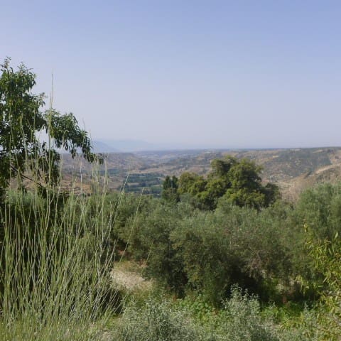 Finca/Landgut zu verkaufen in Castril - 99.000 € (Ref: 5265307)