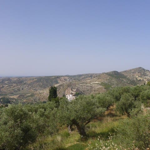 Finca/Landgut zu verkaufen in Castril - 99.000 € (Ref: 5265307)