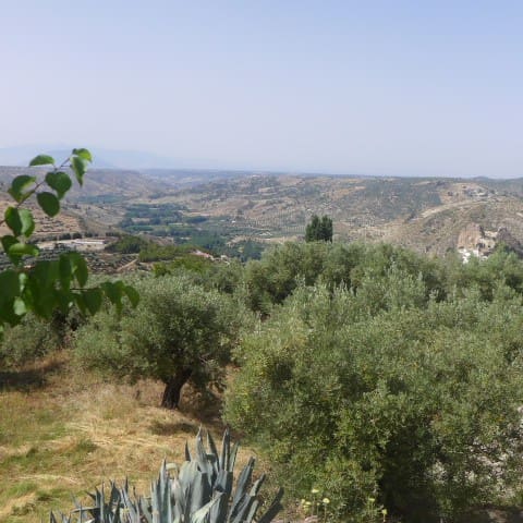 Finca/Landgut zu verkaufen in Castril - 99.000 € (Ref: 5265307)