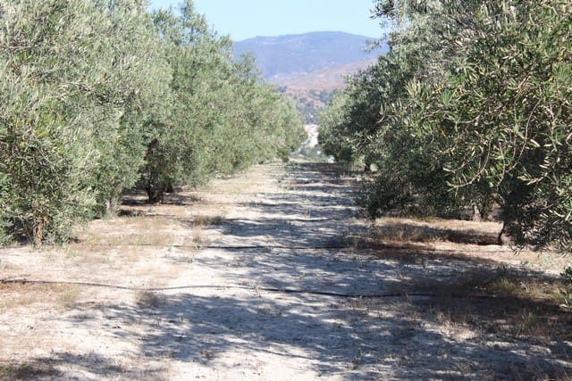 2 soveværelse Finca/Landehus til salg i Tijola - € 55.000 (Ref: 6333455)