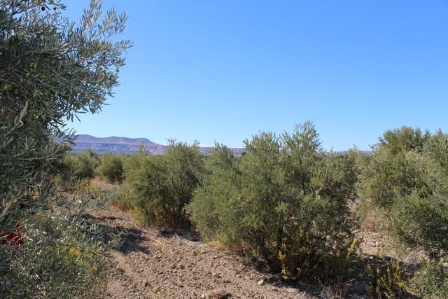 2 soveværelse Finca/Landehus til salg i Caniles - € 159.000 (Ref: 6401369)