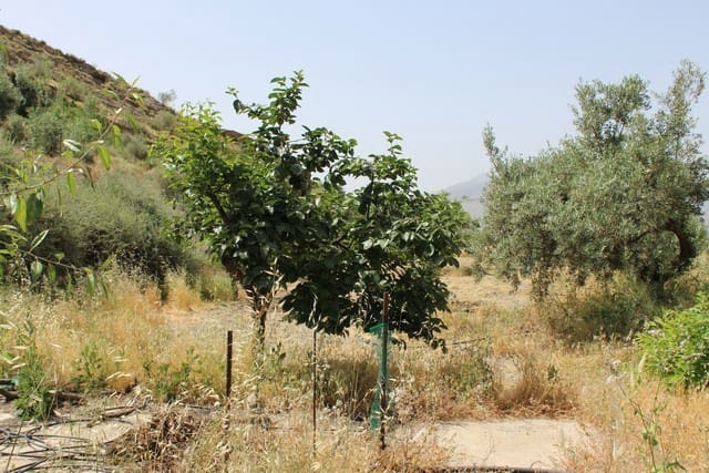 Finca/Landehus til salg i Lúcar - € 69.000 (Ref: 7240473)