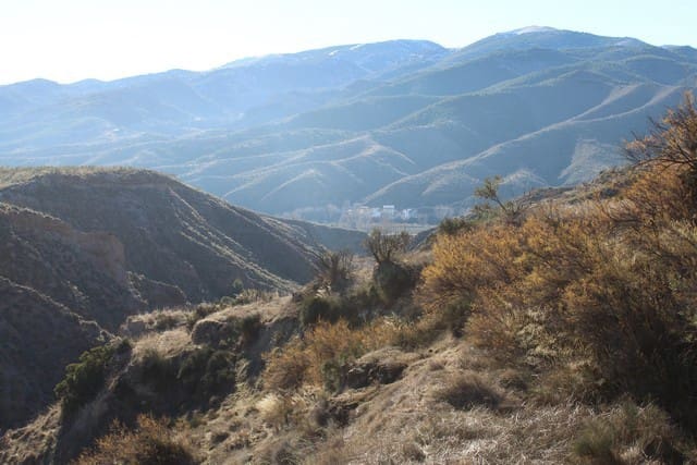 Ruine zu verkaufen in Seron - 50.000 € (Ref: 7240498)