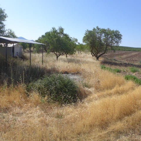 5 camera da letto Finca/Casa di Campagna in vendita in Chirivel - 69.950 € (Rif: 7240572)