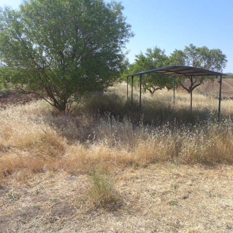 5 slaapkamer Finca/Landhuis te koop in Chirivel - € 69.950 (Ref: 7240572)