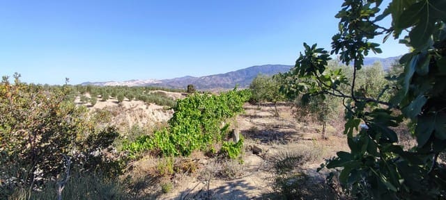 Finca/Landehus til salg i Urrácal - € 35.000 (Ref: 8369503)