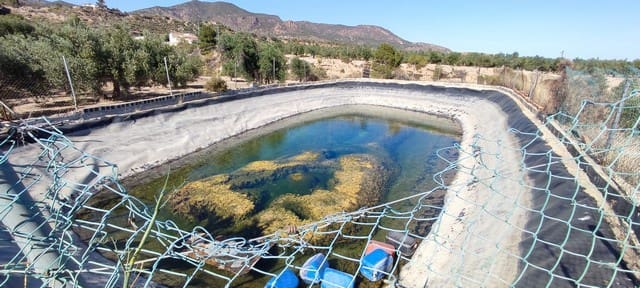 Finca/Herregård til salgs i Urracal - € 35 000 (Ref: 8369503)