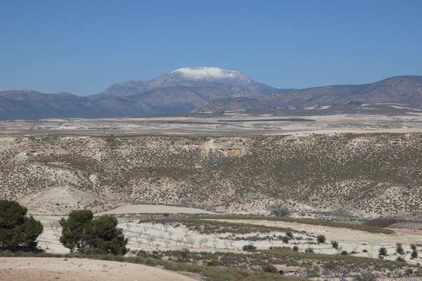 Hulehus til salg i Orce - € 25.000 (Ref: 8369530)