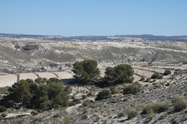 Casa Cueva en Orce en venta - 25.000 € (Ref: 8369530)