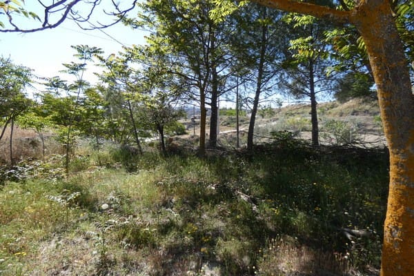 4 Zimmer Höhle zu verkaufen in Castilléjar - 46.000 € (Ref: 8369547)