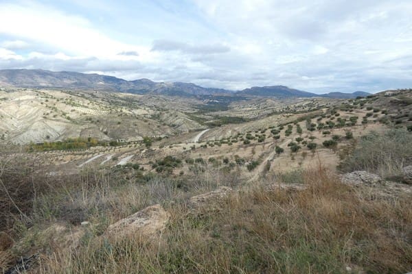 4 soveværelse Hulehus til salg i Fuente Vera med swimmingpool - € 79.950 (Ref: 8369549)