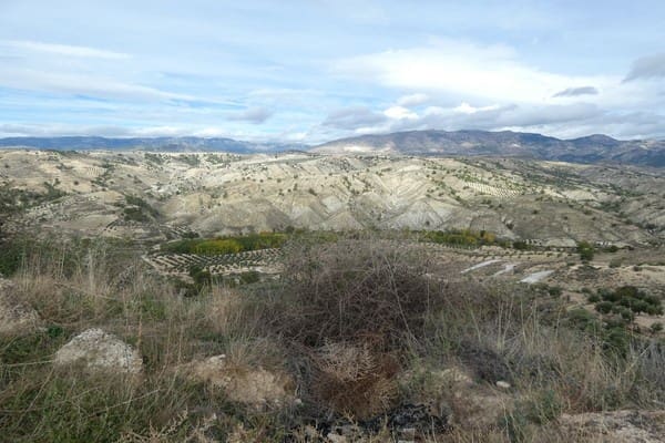 4 soveværelse Hulehus til salg i Fuente Vera med swimmingpool - € 79.950 (Ref: 8369549)