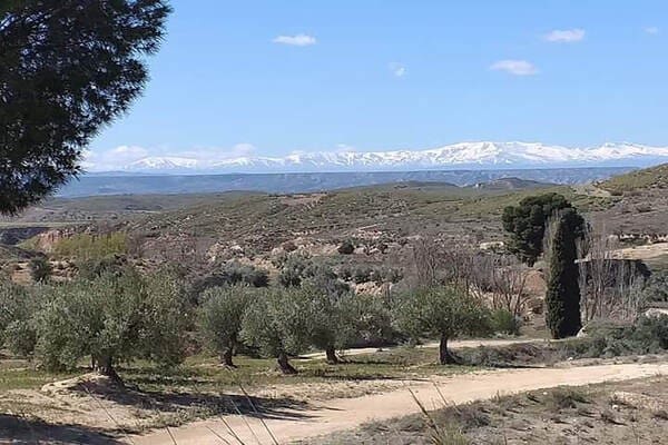 3 chambre Maison Troglodyte à vendre à Cuevas del Campo avec garage - 146 900 € (Ref: 8369558)