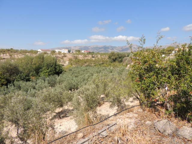 5 bedroom Cave House for sale in Fátima, Castril - € 99,995 (Ref: 8598615)