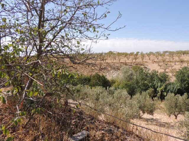 5 quarto Casa de Caverna para venda em Fatima - 99 995 € (Ref: 8598615)