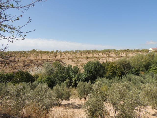 5 bedroom Cave House for sale in Fátima, Castril - € 99,995 (Ref: 8598615)