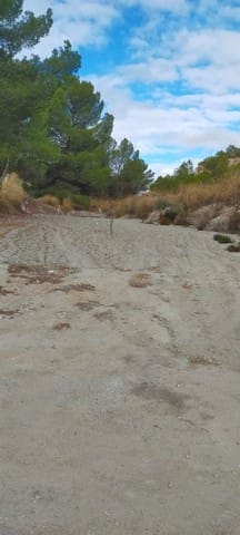 Terreno Non Edificato in vendita in Benamaurel - 25.000 € (Rif: 8598616)