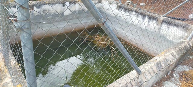 Undeveloped Land for sale in Benamaurel - € 25,000 (Ref: 8598616)