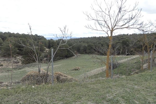 6 soverom Finca/Herregård til salgs i Benamaurel - € 270 000 (Ref: 8653693)