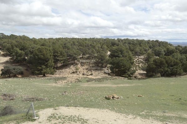 6 soverom Finca/Herregård til salgs i Benamaurel - € 270 000 (Ref: 8653693)