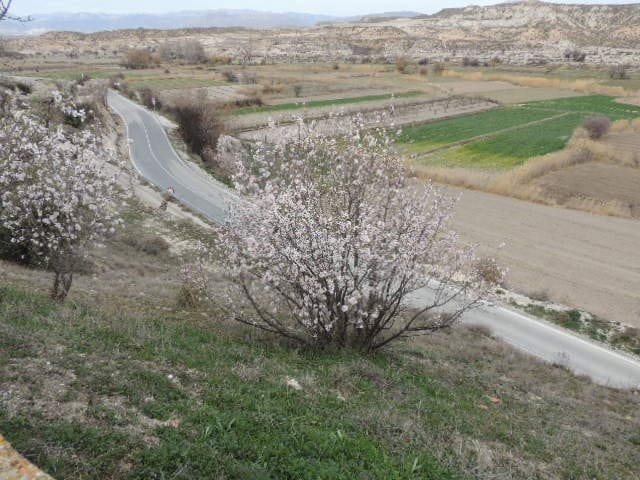 2 sovrum Finca/Hus på landet till salu i Orce - 75 000 € (Ref: 8837391)