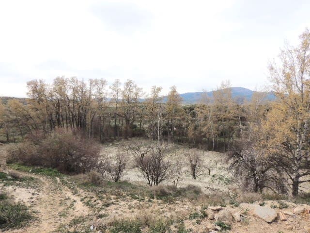 3 soverom Finca/Herregård til salgs i Caniles - € 99 950 (Ref: 8847073)