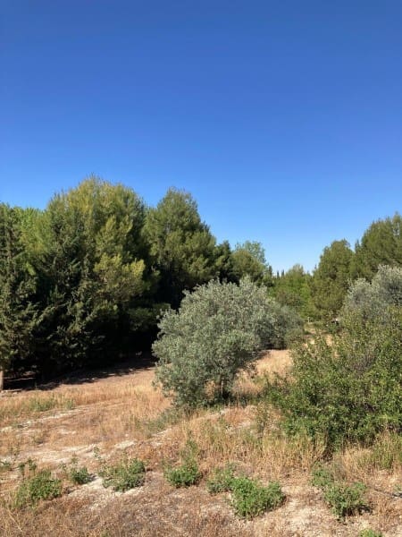 3 sypialnia Willa na sprzedaż w Huescar - 325 000 € (Ref: 8879202)