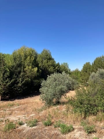 3 sypialnia Willa na sprzedaż w Huéscar - 325 000 € (Ref: 8879202)