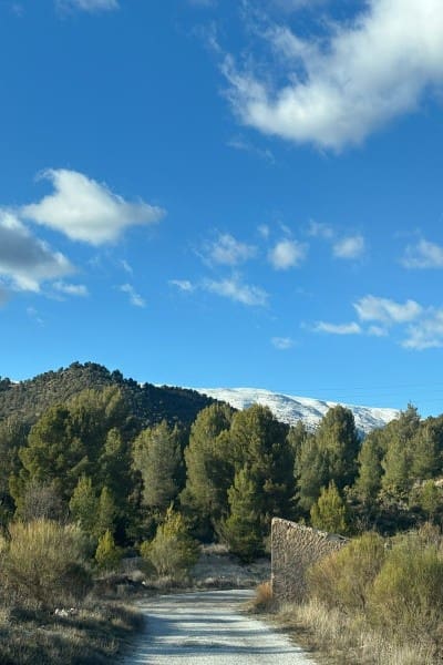 7 soverom Finca/Herregård til salgs i San Clemente del Guardar - € 145 000 (Ref: 8912468)