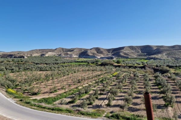 3 soveværelse Hulehus til salg i Cullar - € 54.000 (Ref: 8923141)