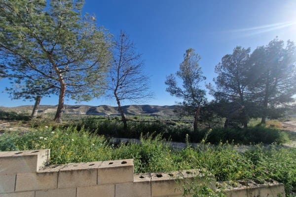 3 soveværelse Hulehus til salg i Cullar - € 54.000 (Ref: 8923141)