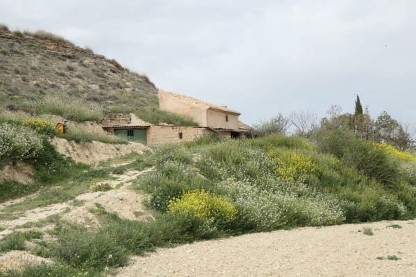 2 soveværelse Hulehus til salg i Galera - € 46.000 (Ref: 8931720)